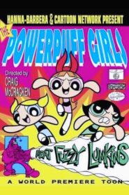 Powerpuff Girls : Meat Fuzzy Lumpkins 1995 one on netflix