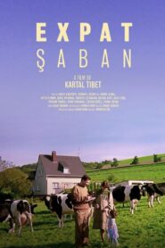 Expat Şaban 1985 one on netflix