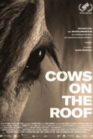 Cows on the Roof 2020 one on netflix