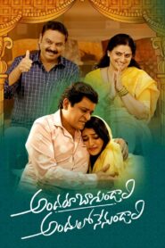 Andaru Bagundali Andulo Nenundali 2022 one on netflix