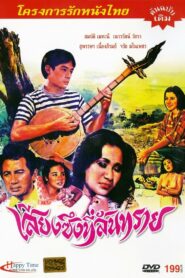 เสียงซึงที่สันทราย 1980 one on netflix
