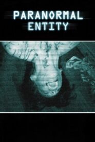 Paranormal Entity 2009 one on netflix
