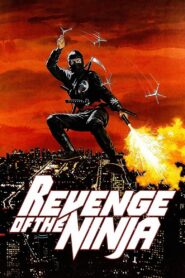 Revenge of the Ninja 1983 one on netflix