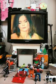 Björk: MTV Unplugged 1994 1994 one on netflix