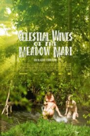 Celestial Wives of the Meadow Mari 2012 one on netflix