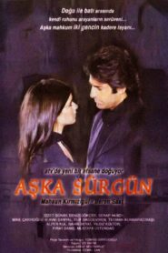 Aşka Sürgün 2005 one on netflix