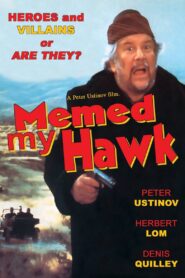 Memed My Hawk 1984 one on netflix
