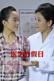 医生的假日 2010 one on netflix
