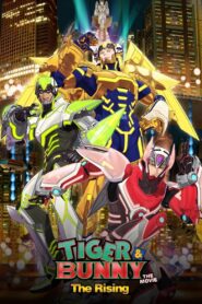 TIGER & BUNNY: The Rising 2014 one on netflix
