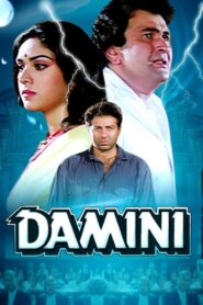 Damini 1993 one on netflix
