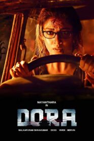 Dora 2017 one on netflix