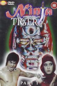 Ninja Death 1987 one on netflix