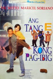 Ang Tange Kong Pag-ibig 1995 one on netflix