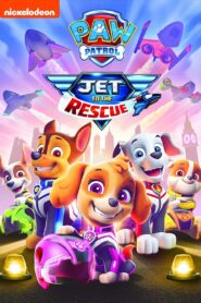 PAW Patrol: Jet to the Rescue 2020 one on netflix