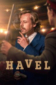 Havel 2020 one on netflix