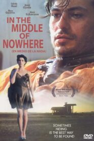 In The MIddle of Nowhere 1993 one on netflix