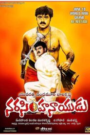 Narasimha Naidu 2001 one on netflix
