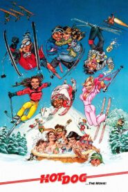 Hot Dog… The Movie 1984 one on netflix