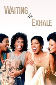 Waiting to Exhale 1995 one on netflix