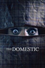 The Domestic 2022 one on netflix