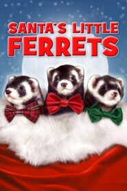 Santa’s Little Ferrets 2014 one on netflix