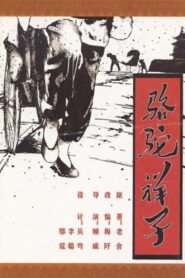 骆驼祥子 1980 one on netflix