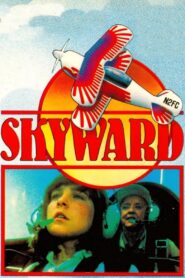 Skyward 1980 one on netflix