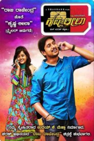Krishna Leela 2015 one on netflix
