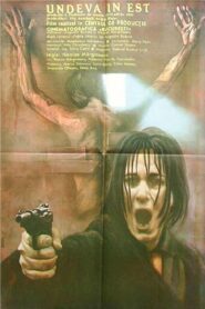 Undeva în Est 1990 one on netflix