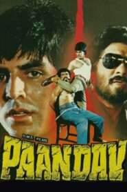 Paandav 1995 one on netflix