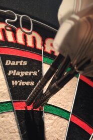 Darts Players’ Wives 2005 one on netflix