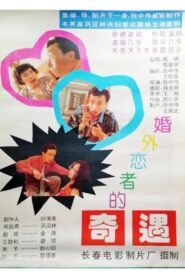 婚外恋者的奇遇 1994 one on netflix