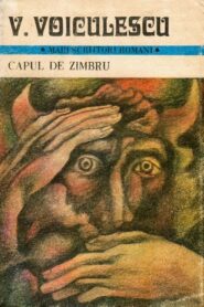 Capul de zimbru 1996 one on netflix