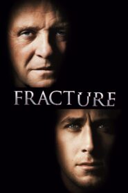 Fracture 2007 one on netflix