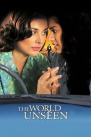 The World Unseen 2007 one on netflix