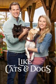 Like Cats & Dogs 2017 one on netflix