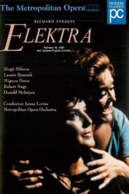 Elektra 1980 one on netflix