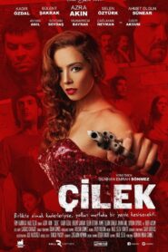 Çilek 2014 one on netflix