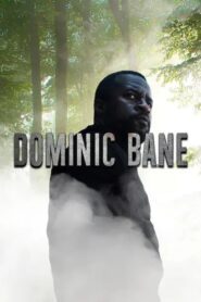Dominic Bane 2024 one on netflix