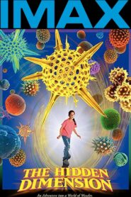 The Hidden Dimension 1998 one on netflix
