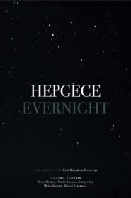 Hepgece 2015 one on netflix