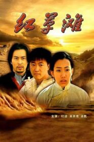 红草滩 2000 one on netflix