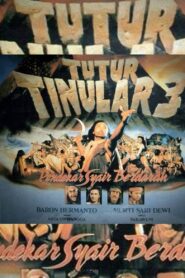 Tutur Tinular III (Pendekar Syair Berdarah) 1992 one on netflix