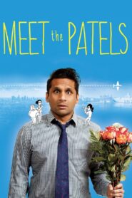 Meet the Patels 2014 one on netflix