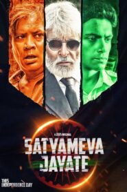 Satyameva Jayate 2019 one on netflix