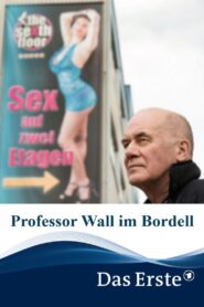 Professor Wall im Bordell 2019 one on netflix