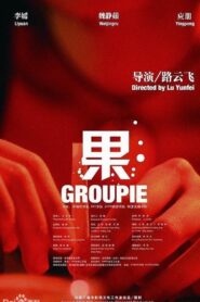 Groupie 2009 one on netflix