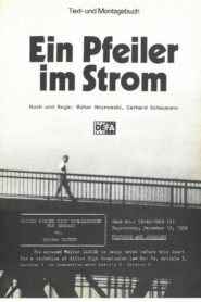 A Pillar In The Stream 1983 one on netflix