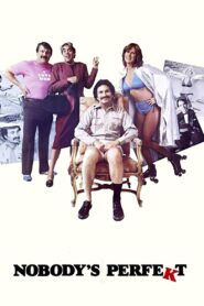 Nobody’s Perfekt 1981 one on netflix