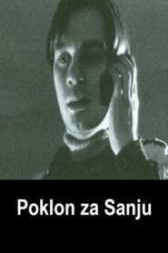 A Present for Sanja 2004 one on netflix